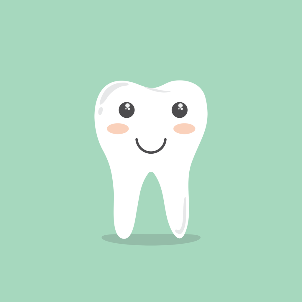 歯の歯石取りの料金は？保険適応できる？歯の根元や歯茎が痛い時は歯周病かも！？歯周病になるとアルツハイマーにつながることも！？